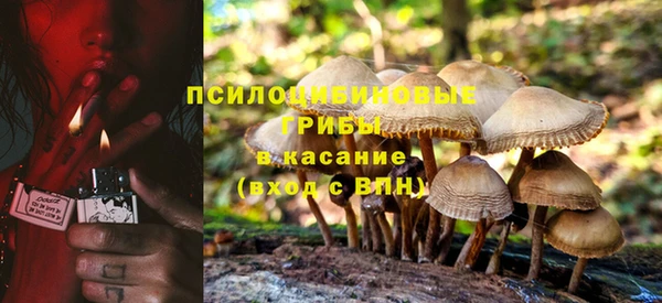 2c-b Белоозёрский