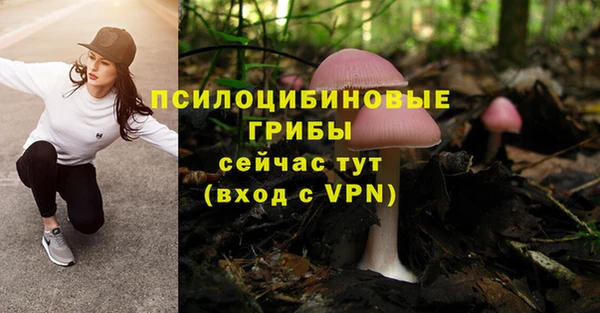 кокаин премиум Белокуриха